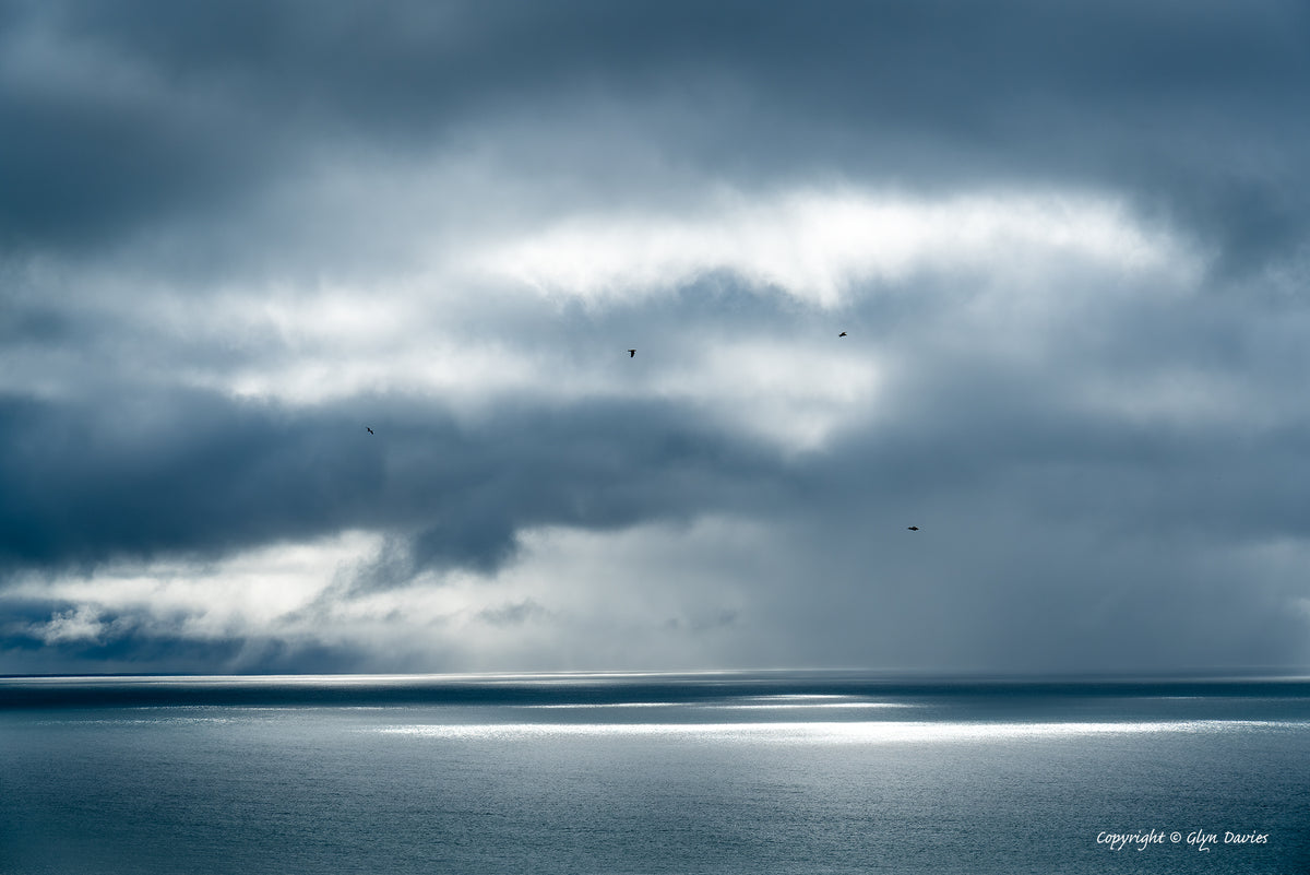 "Fragile Connections" Porthleven