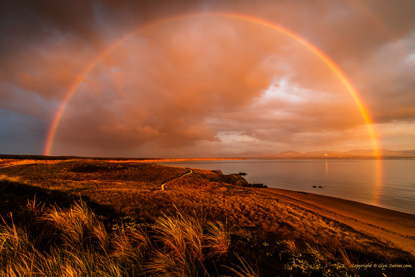 "A Circle of Richness" Llanddwyn, Anglesey