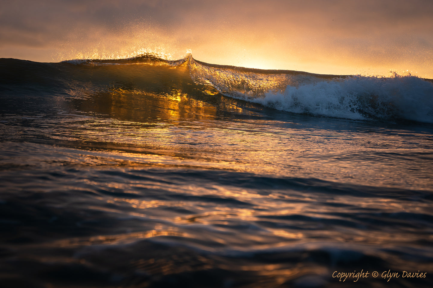 "Backlit Bronze" Rhosneigr, Anglesey