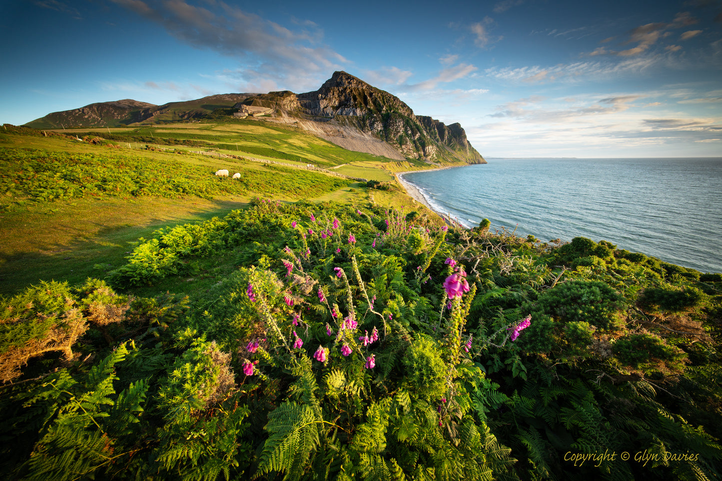 "Where Mountains Meet the Sea" Trefor