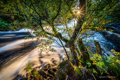 "Hudoliaeth Glan yr Afon" (Riverside Enchantment) Eryri