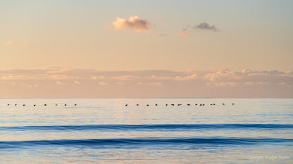 "In Formation" Caernarfon Bay