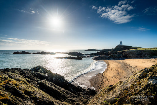 "Where are the Seals" Llanddwyn