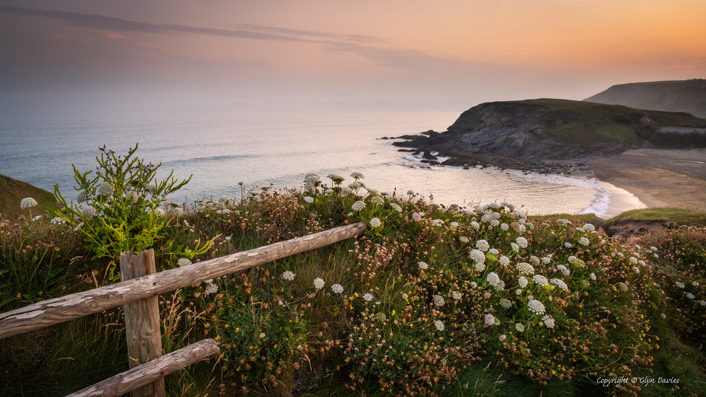 "Evening Life" Gunwalloe Cove