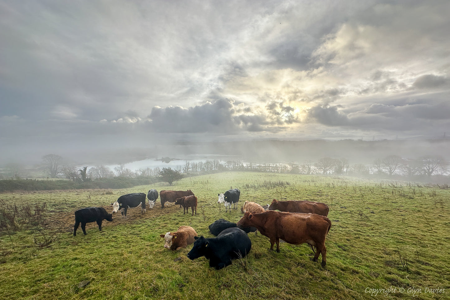 "Awakening to Morning Mist" Menai Strait