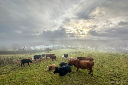 "Awakening to Morning Mist" Menai Strait