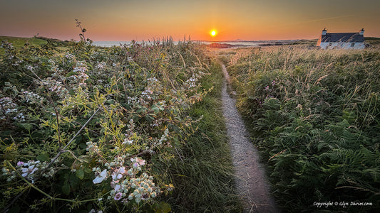 "Summer at the Cottage" Porth Nobla