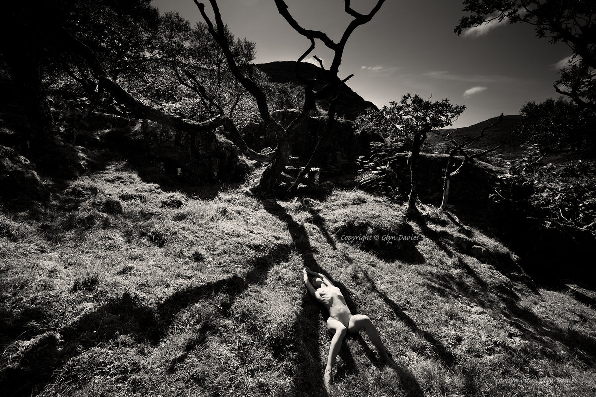 "Life in Dark Shadows"