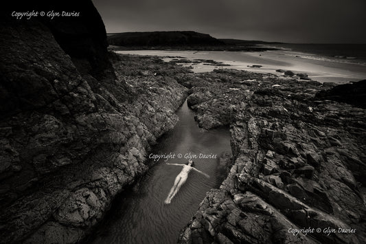 "Life in Rock Pools"