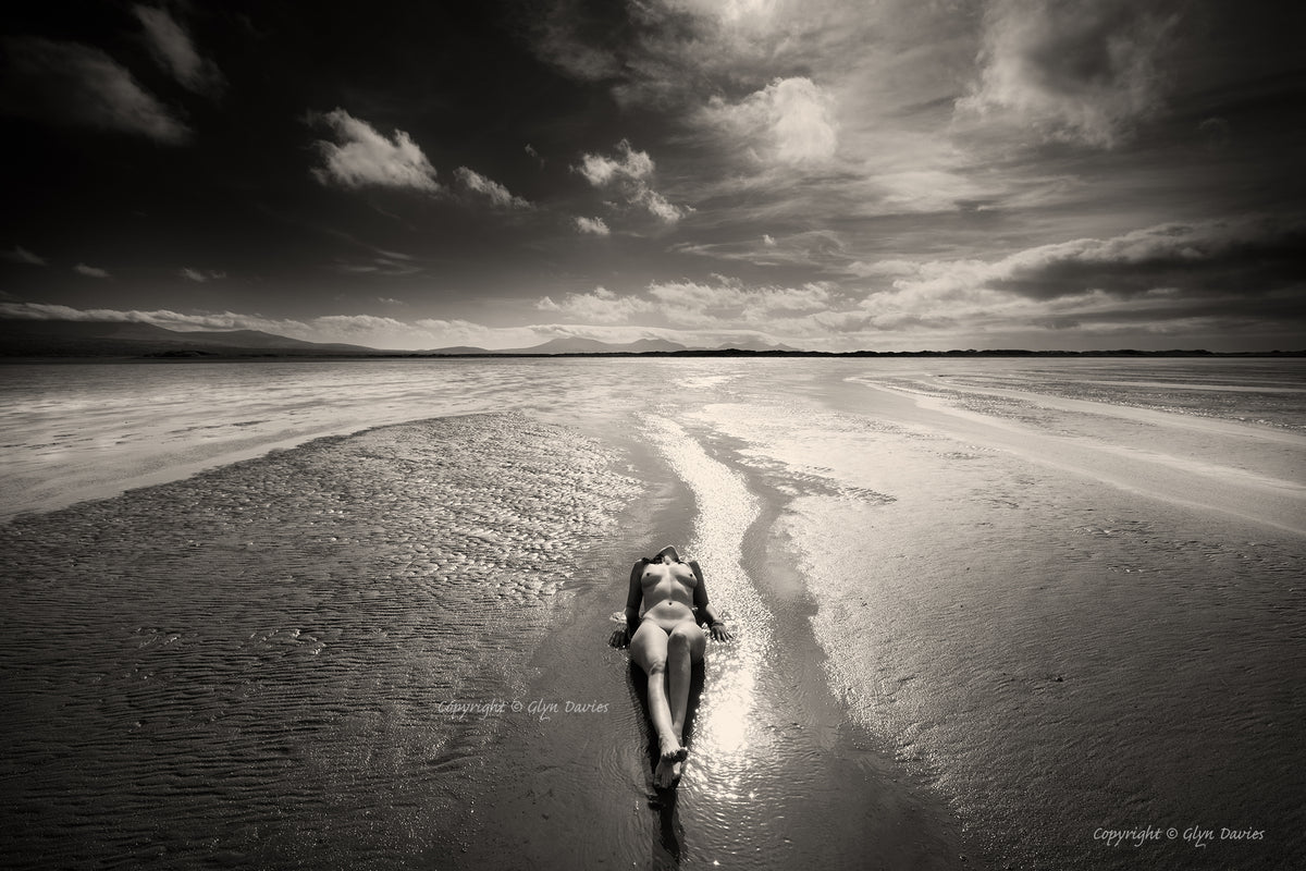 "Revealed at Low Tide"