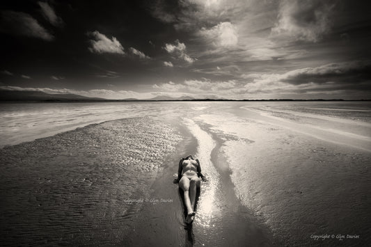 "Revealed at Low Tide"