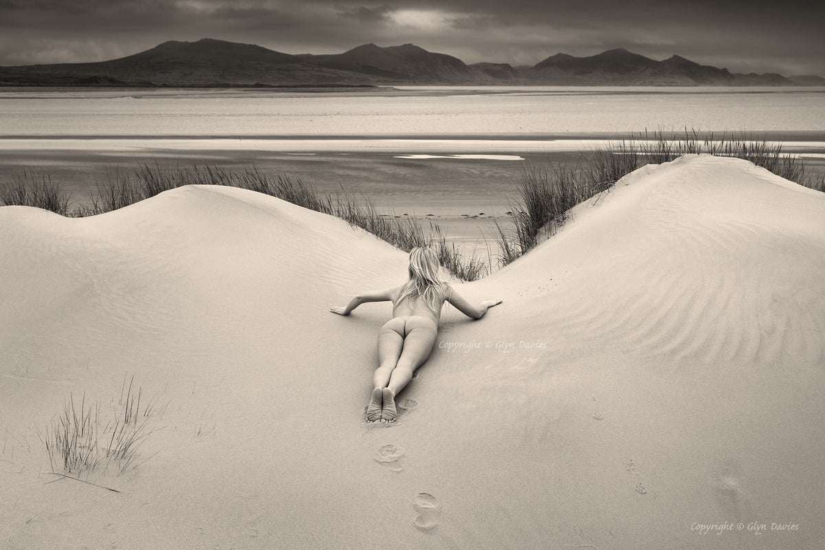 "Something Foxy in the Dunes"