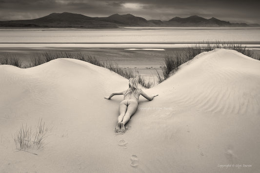 "Something Foxy in the Dunes"