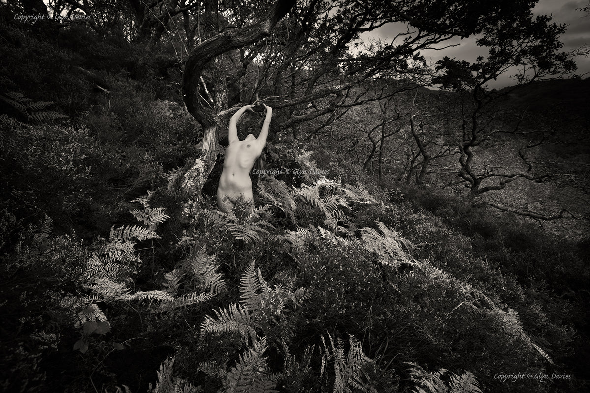 "The Hatching"