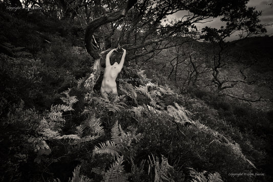 "The Hatching"