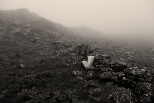 "Wall of Fog"