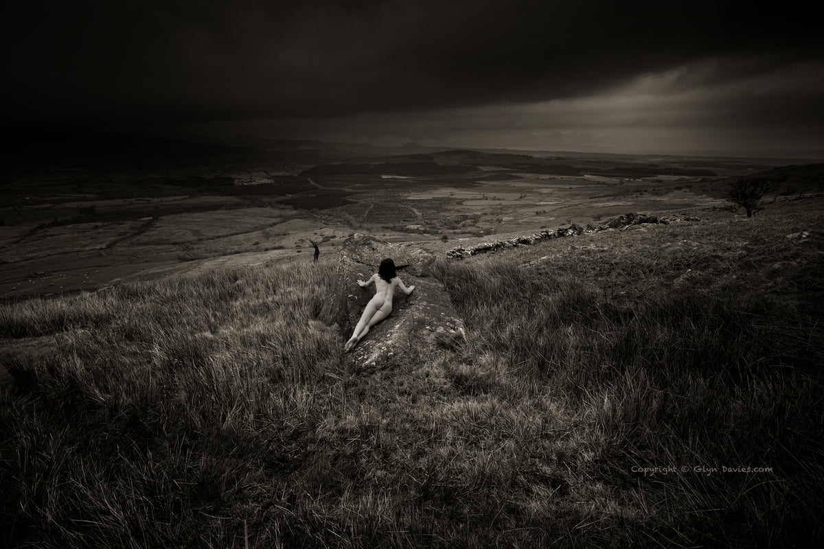 "Weathering Heights"