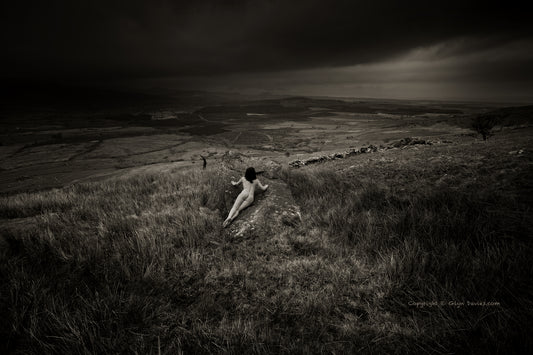 "Weathering Heights"