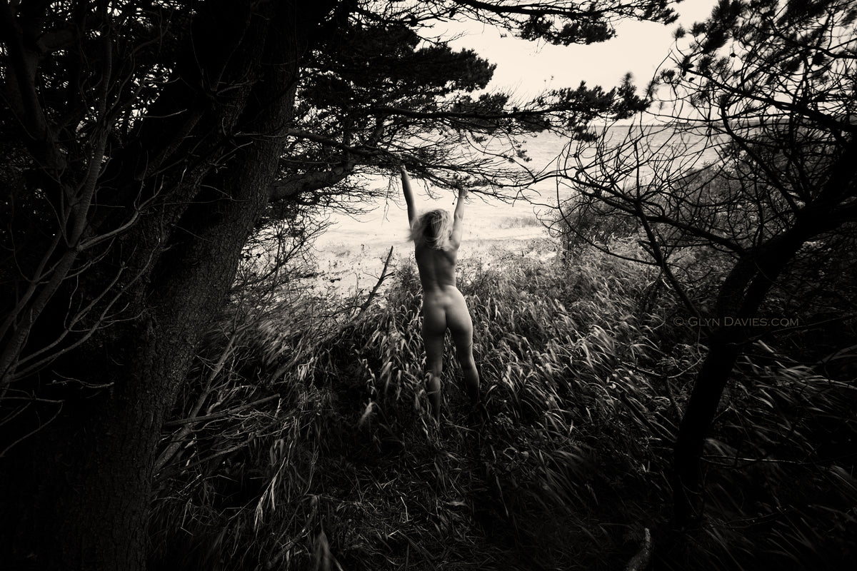 "When the Wind Blows"